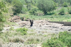 0267-Reis Zuid-Afrika2007